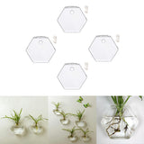 Maxbell 4x Wall Mount Planter Glass Hydroponic Vase Plant Pot Terrarium Hexagon 13cm