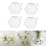 Maxbell 4x Wall Mount Planter Glass Hydroponic Vase Plant Pot Terrarium Hexagon 13cm