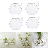 Maxbell 4x Wall Mount Planter Glass Hydroponic Vase Plant Pot Terrarium Hexagon 13cm