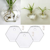 Maxbell 3x Wall Mount Planter Glass Hydroponic Vase Plant Pot Terrarium Hexagon 13cm