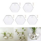 Maxbell 5x Wall Mount Planter Glass Hydroponic Vase Plant Pot Terrarium Hexagon 13cm