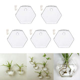 Maxbell 5x Wall Mount Planter Glass Hydroponic Vase Plant Pot Terrarium Hexagon 13cm
