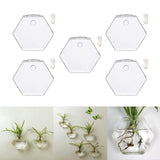 Maxbell 5x Wall Mount Planter Glass Hydroponic Vase Plant Pot Terrarium Hexagon 13cm