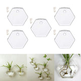 Maxbell 5x Wall Mount Planter Glass Hydroponic Vase Plant Pot Terrarium Hexagon 13cm