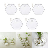Maxbell 5x Wall Mount Planter Glass Hydroponic Vase Plant Pot Terrarium Hexagon 13cm