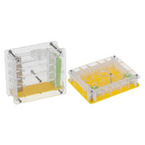Maxbell 2pcs Clear Ant Feeding Nursery Box Ant Farm House Castle For Insect Ant