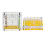 Maxbell 2pcs Clear Ant Feeding Nursery Box Ant Farm House Castle For Insect Ant