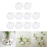 Maxbell 10xWall Mount Planter Glass Hydroponic Vase Plant Pot Terrarium Hexagon 13cm