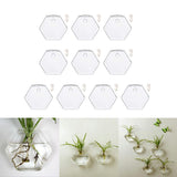 Maxbell 10xWall Mount Planter Glass Hydroponic Vase Plant Pot Terrarium Hexagon 13cm