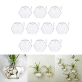 Maxbell 10xWall Mount Planter Glass Hydroponic Vase Plant Pot Terrarium Hexagon 13cm