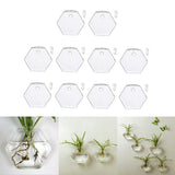 Maxbell 10xWall Mount Planter Glass Hydroponic Vase Plant Pot Terrarium Hexagon 13cm