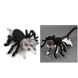 Maxbell 2pcs Funny Spider Style Pet Cat Dog Costume Clothes for Small Pet Cat Dog