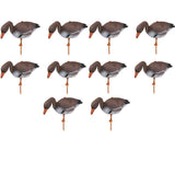 10x Outdoor Full Size Goose Hunting Decoy 3D Target Garden Lawn Decor Goose