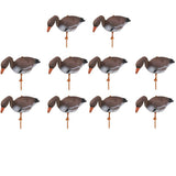 10x Outdoor Full Size Goose Hunting Decoy 3D Target Garden Lawn Decor Goose