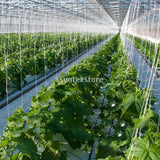 50pcs 15M Garden Tomato Hook Vegetable Clamps For Garden Farms Planting