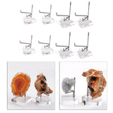 Maxbell 8x Durable Acrylic Display Stand Holder Suport for Minerals Geode Crystal