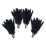 Maxbell 60x Dried Pampas Grass Phragmites Reed Flower Bunch Home Wedding Decor Gift