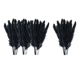 Maxbell 60x Dried Pampas Grass Phragmites Reed Flower Bunch Home Wedding Decor Gift