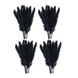 Maxbell 60x Dried Pampas Grass Phragmites Reed Flower Bunch Home Wedding Decor Gift