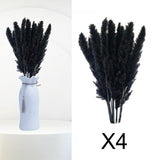 Maxbell 60x Dried Pampas Grass Phragmites Reed Flower Bunch Home Wedding Decor Gift