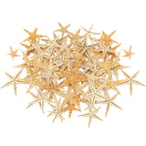 Maxbell Natural Starfish Seashells Wedding Display Craft Aquarium Decorations