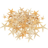 Maxbell Natural Starfish Seashells Wedding Display Craft Aquarium Decorations