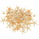 Maxbell Natural Starfish Seashells Wedding Display Craft Aquarium Decorations
