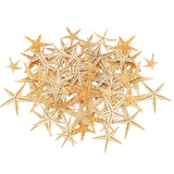 Maxbell Natural Starfish Seashells Wedding Display Craft Aquarium Decorations