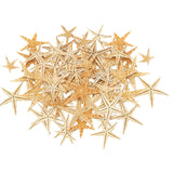Maxbell Natural Starfish Seashells Wedding Display Craft Aquarium Decorations