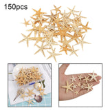 Maxbell Natural Starfish Seashells Wedding Display Craft Aquarium Decorations