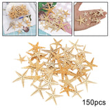 Maxbell Natural Starfish Seashells Wedding Display Craft Aquarium Decorations
