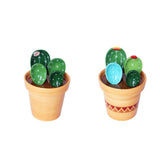 Maxbell 2x Creative Cactus Measuring Spoons in Flower Pot for Food Kitchen Gifts