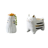 Maxbell 2x Cute Cat Plant Pot Planter Flower Pot Plant Succulent Container Decor