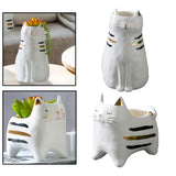 Maxbell 2x Cute Cat Plant Pot Planter Flower Pot Plant Succulent Container Decor