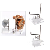 Maxbell 2x Durable Acrylic Display Stand Holder Suport for Minerals Geode Crystal