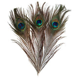 Maxbell 6x10 Pcs Peacock Eye Tail Feathers for Craft Mask Hat 9-13 Inch