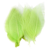 Maxbell 4x50Pcs Natural Catbrier Skeleton Leaf Leaves Card Scrapbook - Green