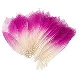 Maxbell 4x50Pcs Natural Magnolia Skeleton Leaf Leaves Card Scrapbook - Pink White