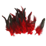 Maxbell 4x50pcs Beautiful Rooster Feathers Fringe Decoration Home Craft DIY Red