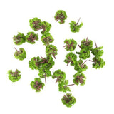 Maxbell 2x25 Pcs Scenery Landscape Train Model Trees Scale 1/300 Light Green