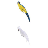 Maxbell 2pcs Artificial Parrot Bird Realistic Home Decor Budgie Taxidermy