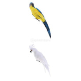 Maxbell 2pcs Artificial Parrot Bird Realistic Home Decor Budgie Taxidermy