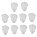 15x10 Pieces Ostrich Feathers Lightweight 25-30cm for Christmas