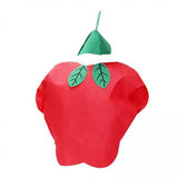 Maxbell 3xKids Fruit Costume Cosplay Cute Children Costume for Themed Party Masquerade Apple