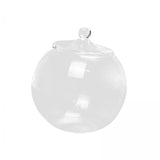 Maxbell 2xGlass Terrarium Decorative DIY 6.30'' Planter Jar for Chocolate Sugar Coffee