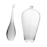 Maxbell 2x Modern Glass Vase Floral Vases Flower Vase for Decor Accessories