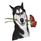 20