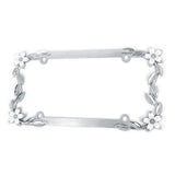 Maxbell License Plate Frame US Standard Universal Rustproof Lincense Plate Tag Cover