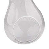 Maxbell Maxbell Bulb Glass Flower Hydroponic Vase Bottle Terrarium Container with Iron Stand