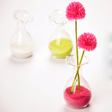 Maxbell European Glass Flower Hydroponic Vase Bottle Terrarium Container Home Decor